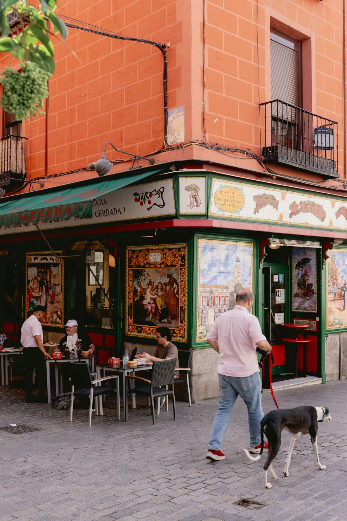 A man walking a greyhound past an outdoor terraza in Madird. Spain.